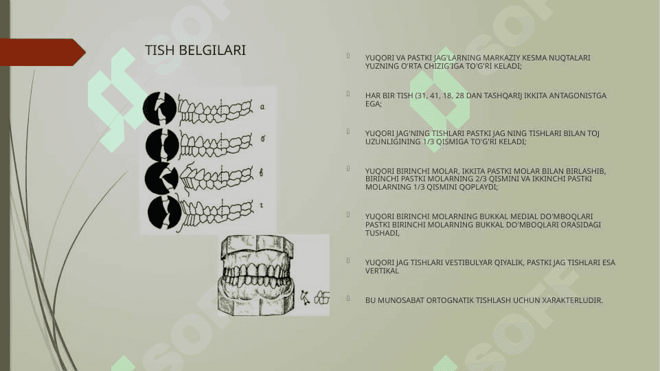 Markaziy okulziyani aniqlash 6