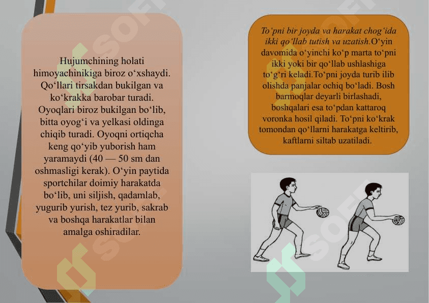 Gandbol o’yin qoidalari va  hakamlik qilish 8
