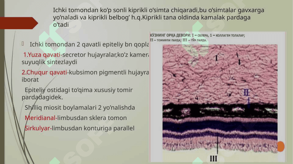 Sezgi a’zolari.Ko’rish a’zosi.(Organum visus) 6