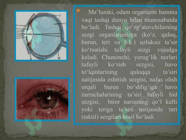 SEZGI VA DIQQAT 2