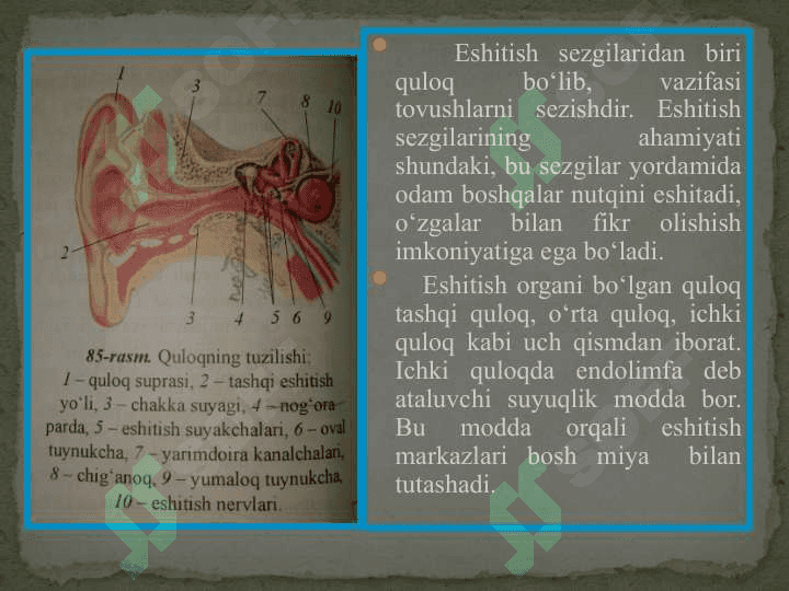 SEZGI VA DIQQAT 4