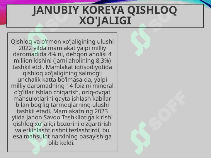 janubiy koreya 8
