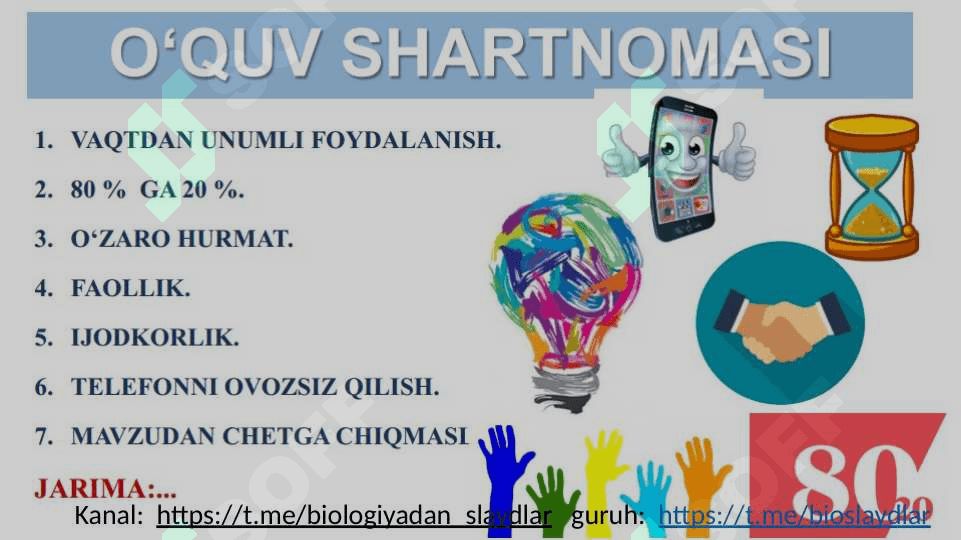 ODAMNING OVQAT HAZM QILISH SISTEMASI 2