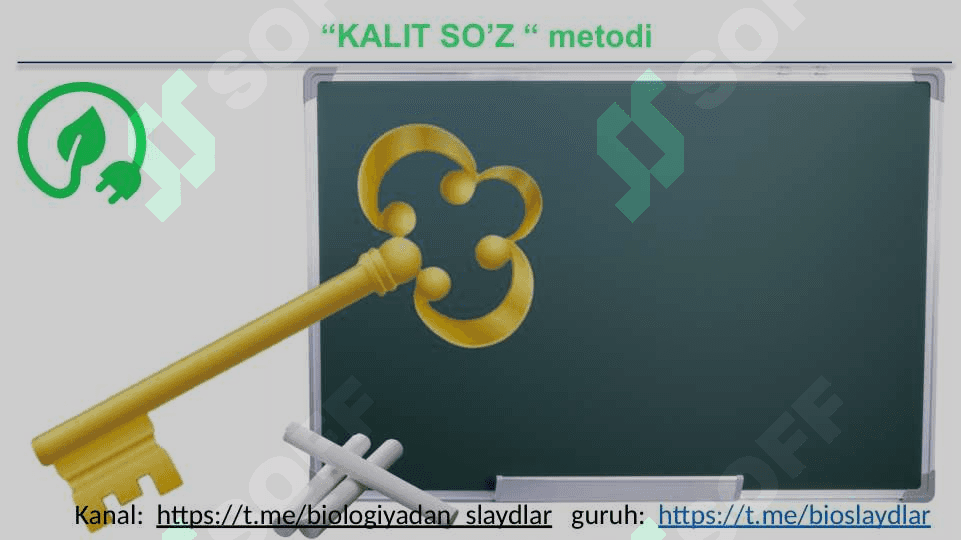 ODAMNING OVQAT HAZM QILISH SISTEMASI 5