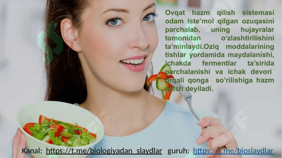 ODAMNING OVQAT HAZM QILISH SISTEMASI 7