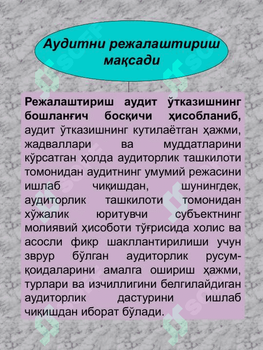 АУДИТОРЛИК 2