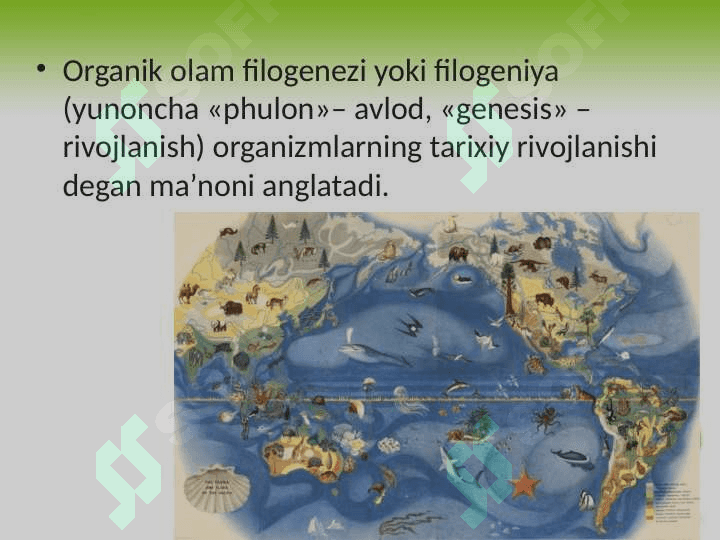 Organik olam filogenezining umumiy tavsifi 2