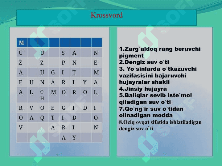 “Qirqbo`g`imlar mavzusida” 5