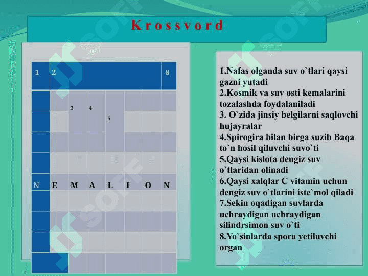“Qirqbo`g`imlar mavzusida” 8