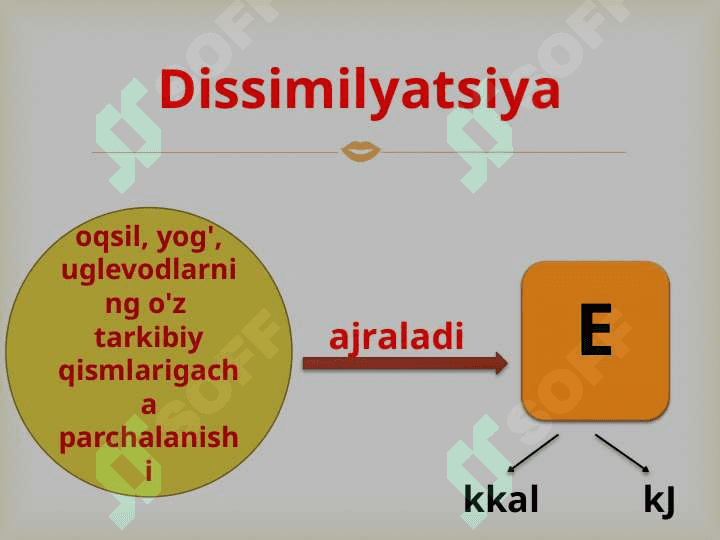 “Tirik organizmlarning xususiyatlari” 5