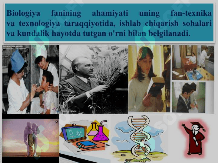 BIOLOGIYA TIRIK ORGANIZMLAR HAQIDAGI FANBiologiya - hayot haqidagi fan 3