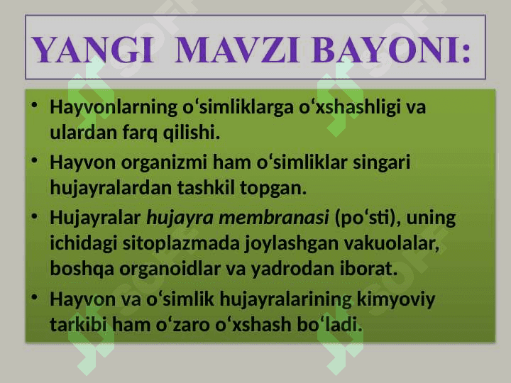 Hayvon organizmining tuzilishi, hayvonlarni klassifikatsiya  qilish 5