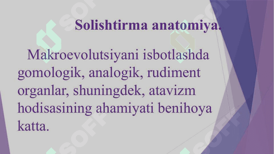 Evolyutsiyani isbotlashda solishtirma anatomiya, poleontologiya fanlari dalillari” 4
