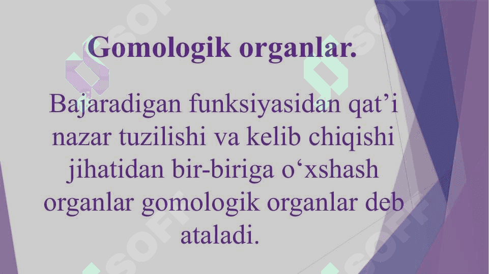 Evolyutsiyani isbotlashda solishtirma anatomiya, poleontologiya fanlari dalillari” 5