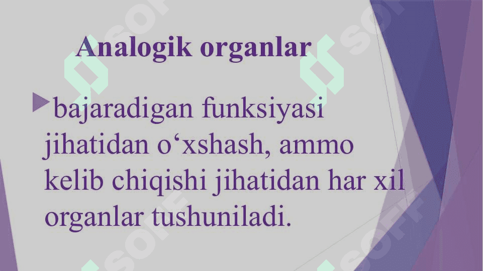 Evolyutsiyani isbotlashda solishtirma anatomiya, poleontologiya fanlari dalillari” 8
