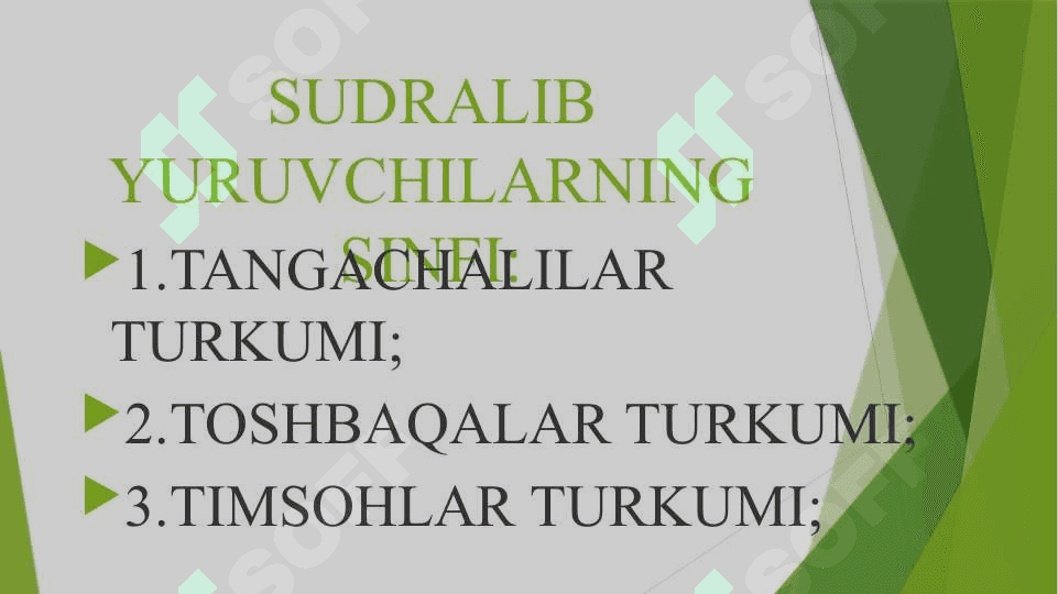 TOSHBAQALAR VA TIMSOHLAR TURKUMLARI. 2