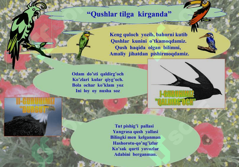 Qushlarning mavsumiy hodisalarga moslashishi 3
