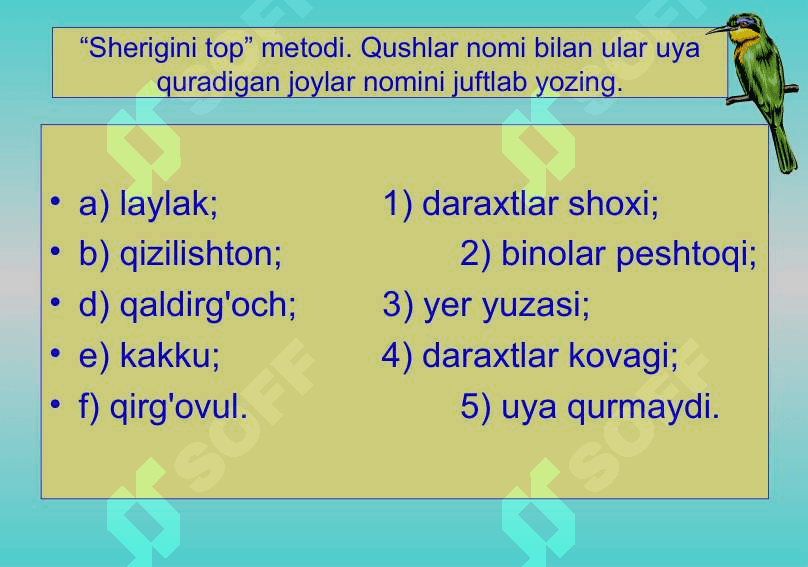 Qushlarning mavsumiy hodisalarga moslashishi 6