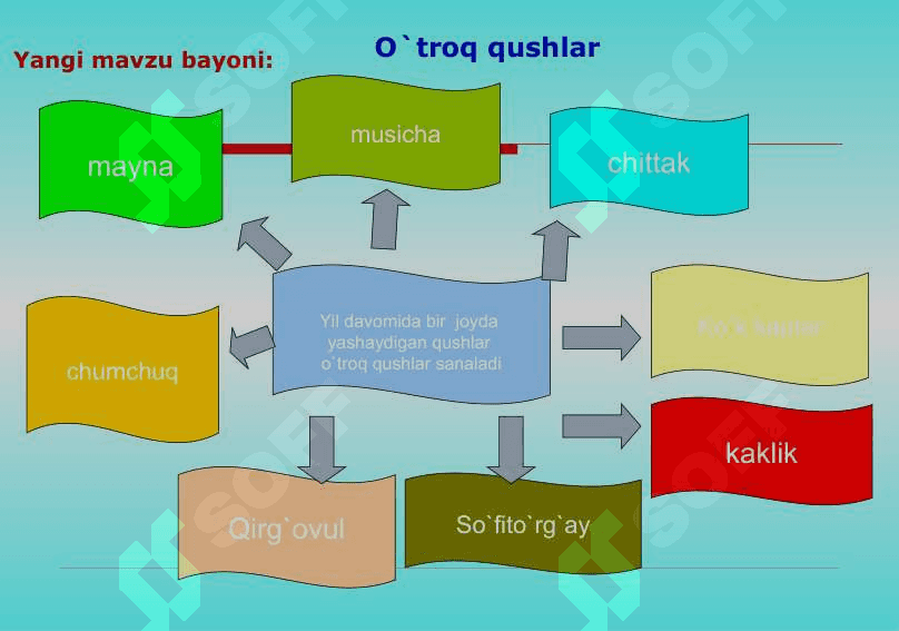 Qushlarning mavsumiy hodisalarga moslashishi 8