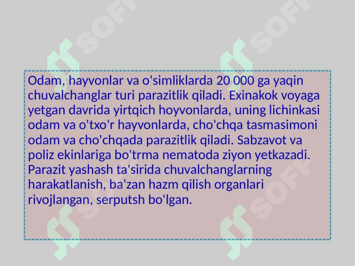 Parazit chuvalchanglarning xilma - xilligi 2