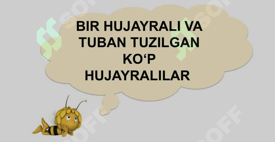 HAYVONLARNING QON AYLANISH ORGANLARI EVOLUTSIYASI 3
