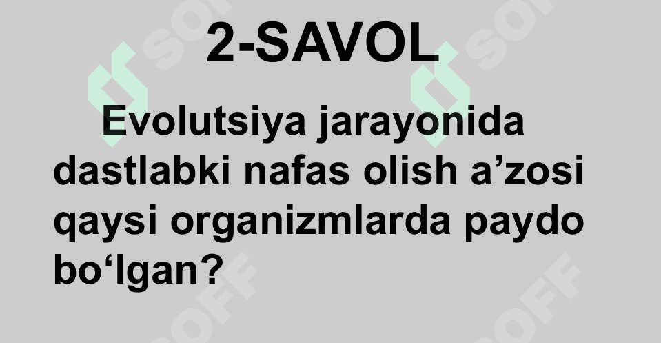 HAYVONLARNING QON AYLANISH ORGANLARI EVOLUTSIYASI 4