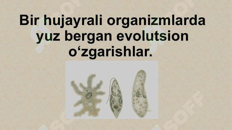 Hayvonot dunyosidagi evolutsion o‘zgarishlar 8