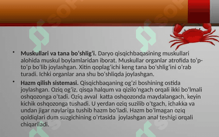 Daryo qisqichbaqasining ichki tuzilishi 5