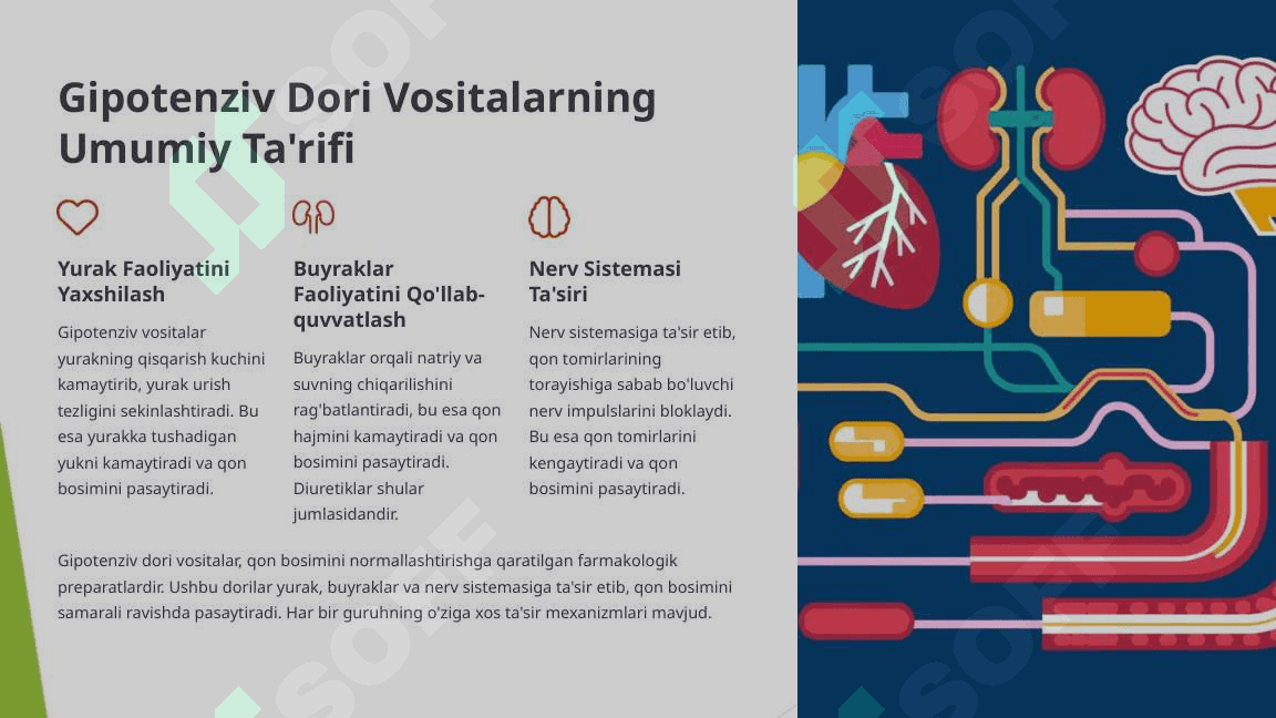 Gipotenziv dori vositalar farmakologiyasi 2