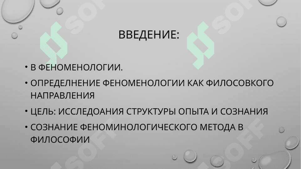 Феноменология 2