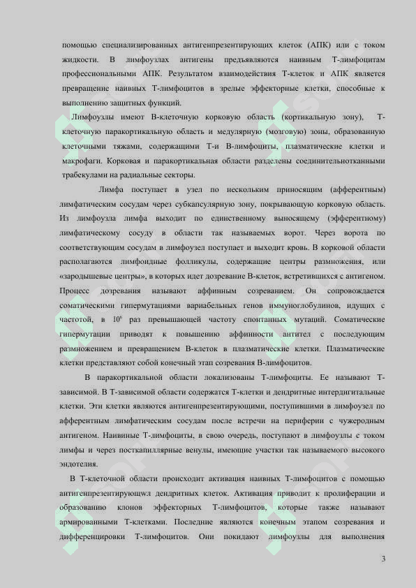Центральные и периферические органы иммунной системы. 3