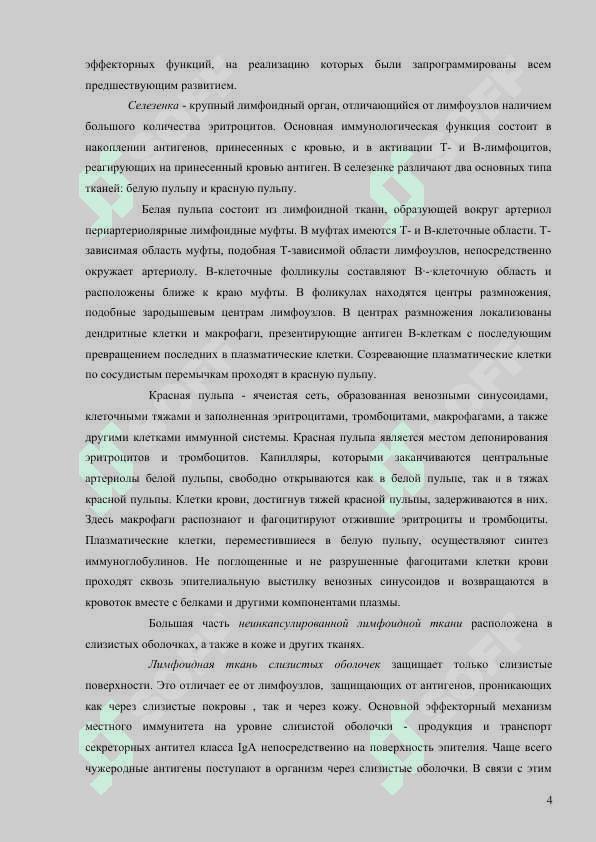 Центральные и периферические органы иммунной системы. 4