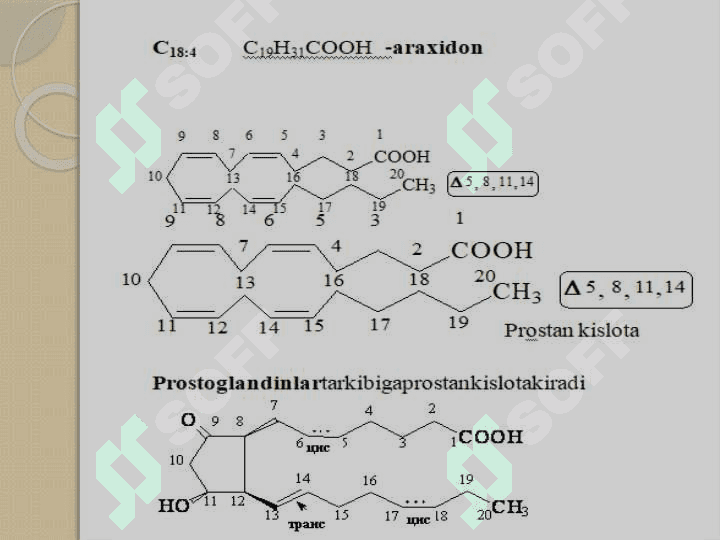 Lipidlar.Lipidlarning klassifikatsiyasi:Sovunlanadigan lipidlar 8