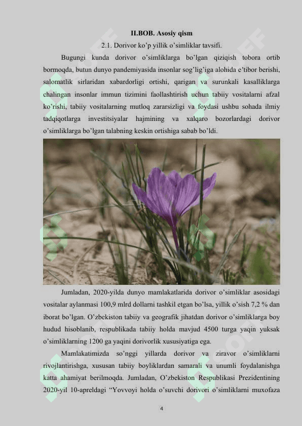 Dorivor ko’p yillik o’simliklar 4