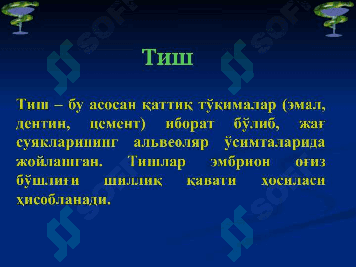 Тиш қаттиқ ва юмшоқ  тўқимаси биокимёси 3