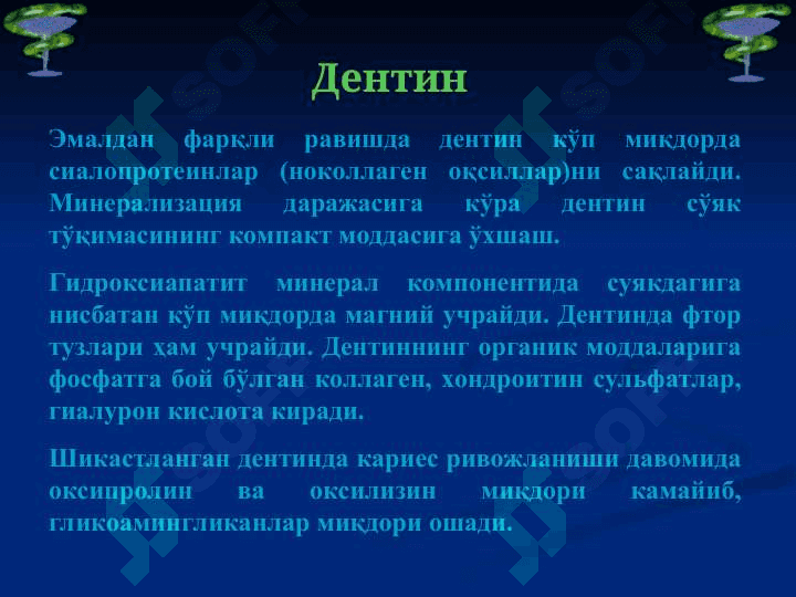 Тиш қаттиқ ва юмшоқ  тўқимаси биокимёси 8