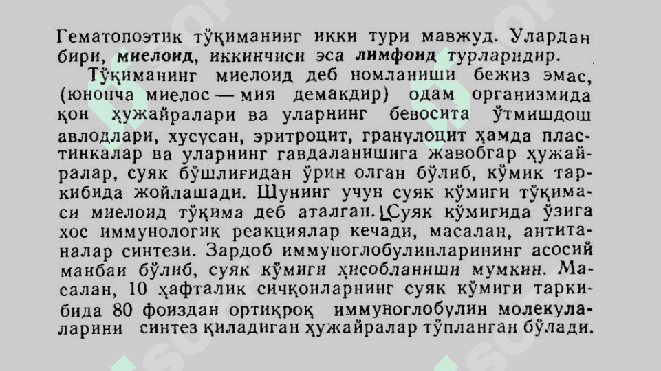 Суяк кўмиги унинг тузилиши. 3