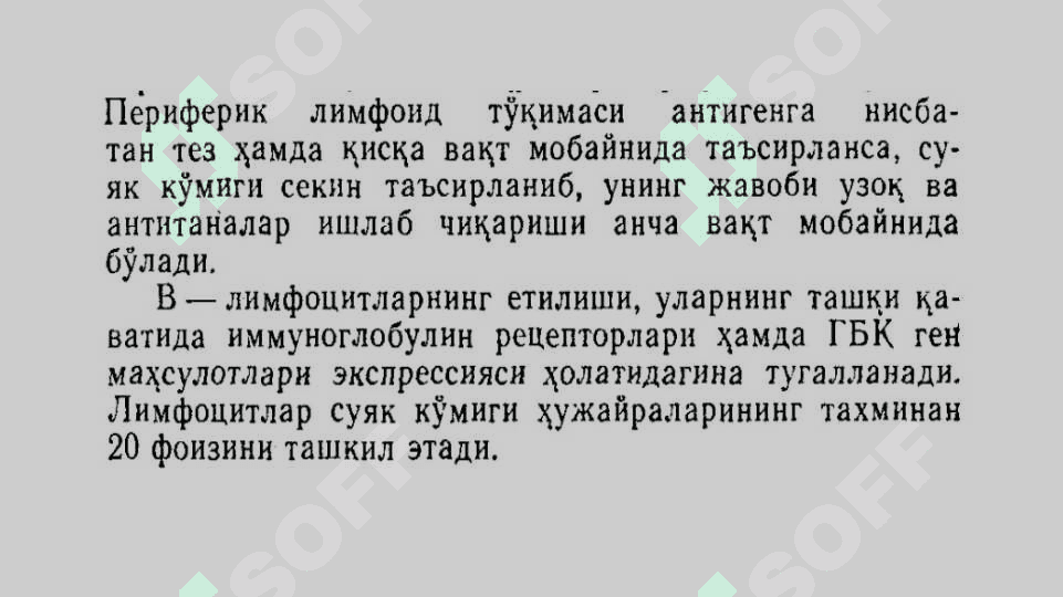 Суяк кўмиги унинг тузилиши. 4