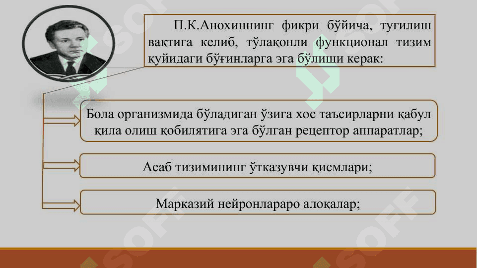 Мактабгача таълим ёш даври психологияси 6