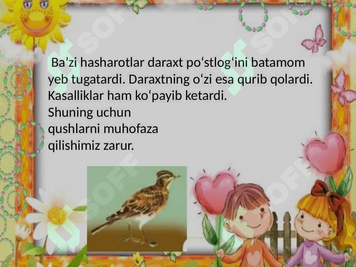 QUSHLAR VA UY PARRANDALARI       Qushlarning tabiatdagi ahamiyati 3