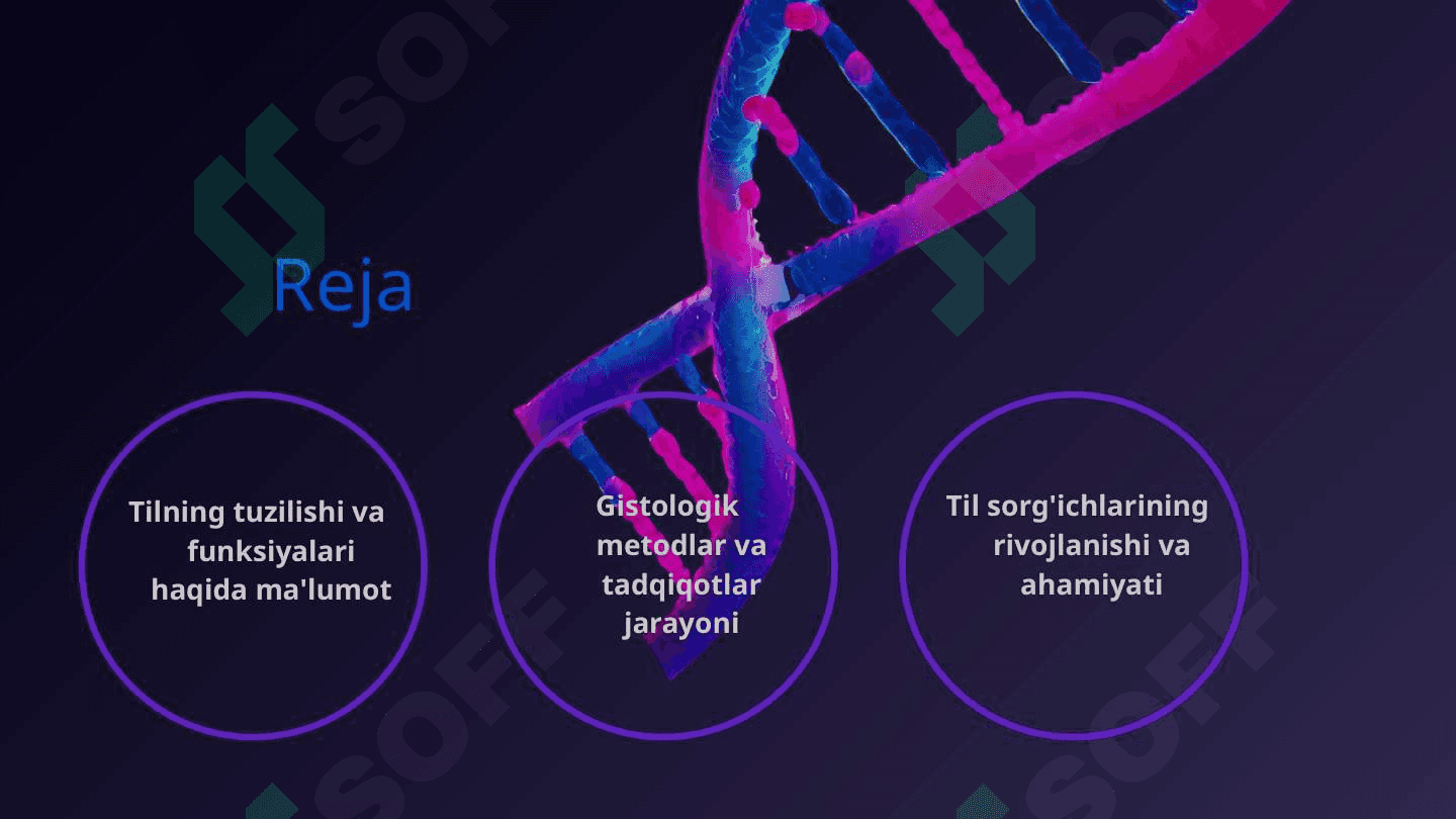 Til gistologiyasi va til sorg'ichlari gistologiyasi 2