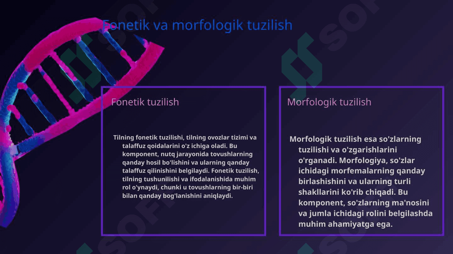 Til gistologiyasi va til sorg'ichlari gistologiyasi 4