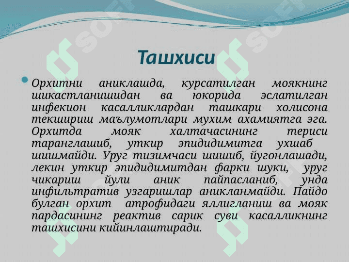 Pastki siydik yoʻllarining yalligʻlanish kasalligi orxit epidimitit  . Пастки сийдик йўлларининг яллиғланиши .Орхит . Эпидидимит 5