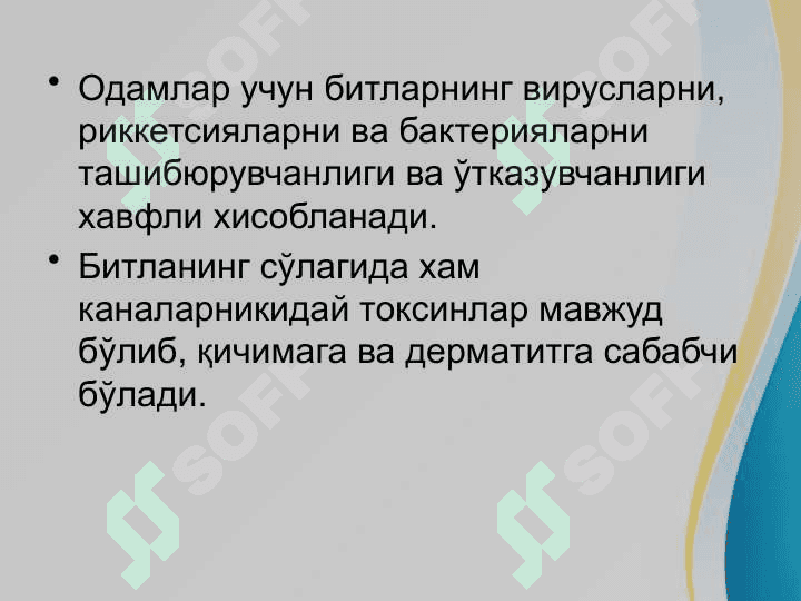 Bitlash Pedikulyoz . Битлаш педикулёз 3