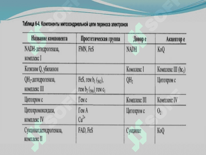 Biologik oksidlanish va katabolizmning umumiy yo’llari 8