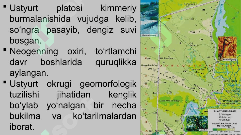 Ustyurt tabiiy geografik okrugi. Iqlimi, suvlari, tuproqlari, o‘simliklari va hayvonot dunyosi. 5