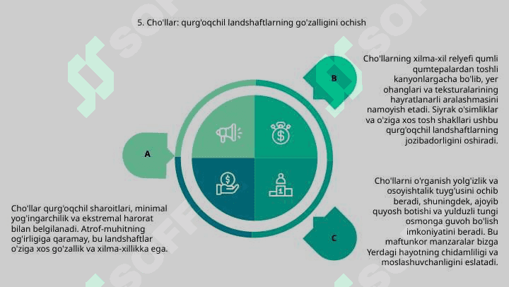Yer yuzi landshaft turlari 7