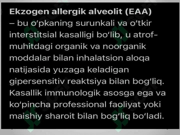 Ekzogen allergik alveolit 3