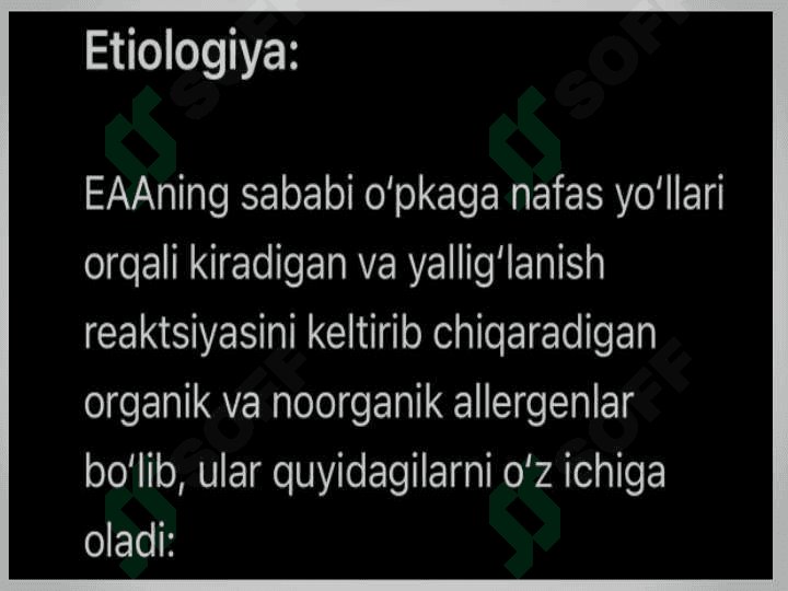 Ekzogen allergik alveolit 4