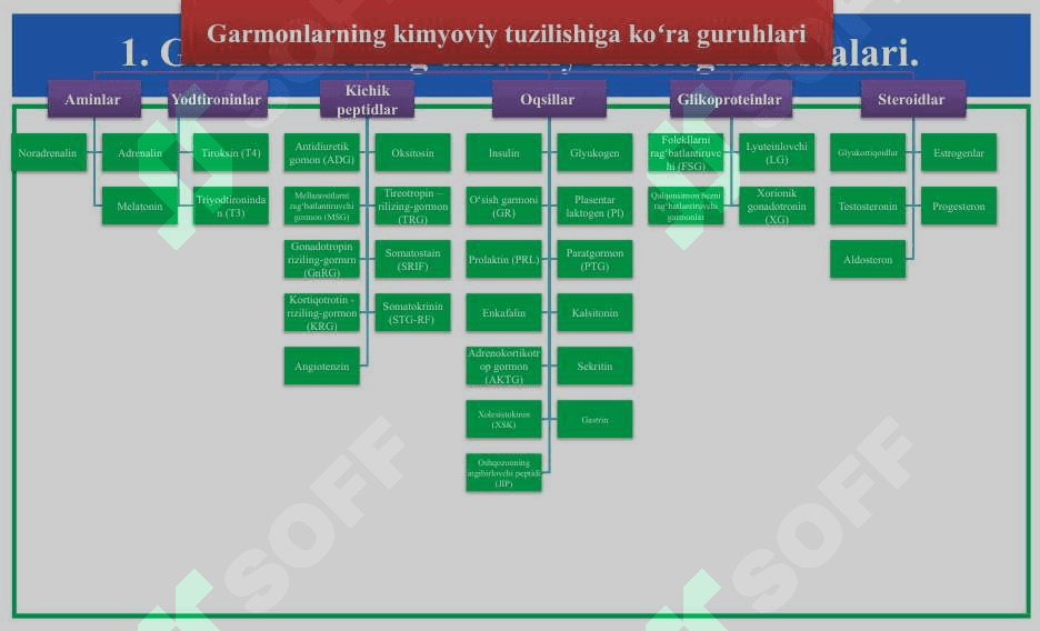 Endokrin tizimi fiziologiyasi  Эндокрин тизим физиологияси 6